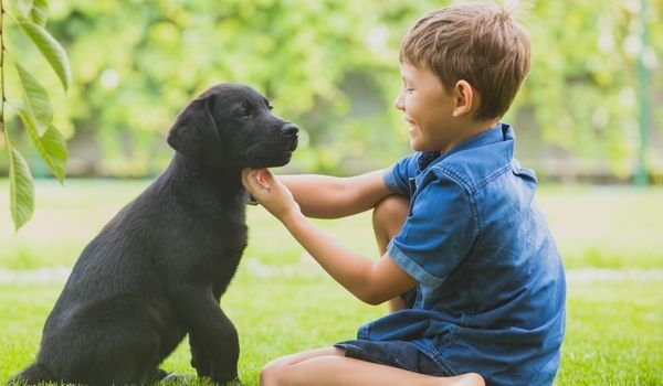 Mascotas y niños, ventajas y desventajas
